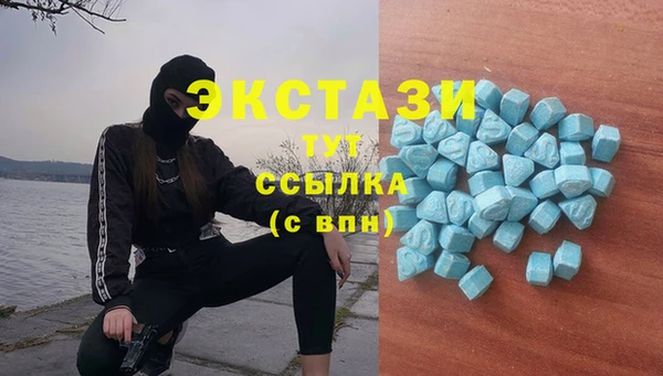 a pvp Горняк