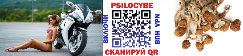 как найти   Питкяранта  Псилоцибиновые грибы MAGIC MUSHROOMS 